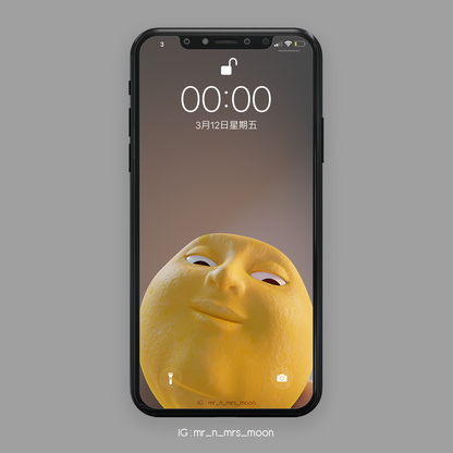 Mr n Mrs Moon "Front Camera Accident" mobile and computer wallpaper
