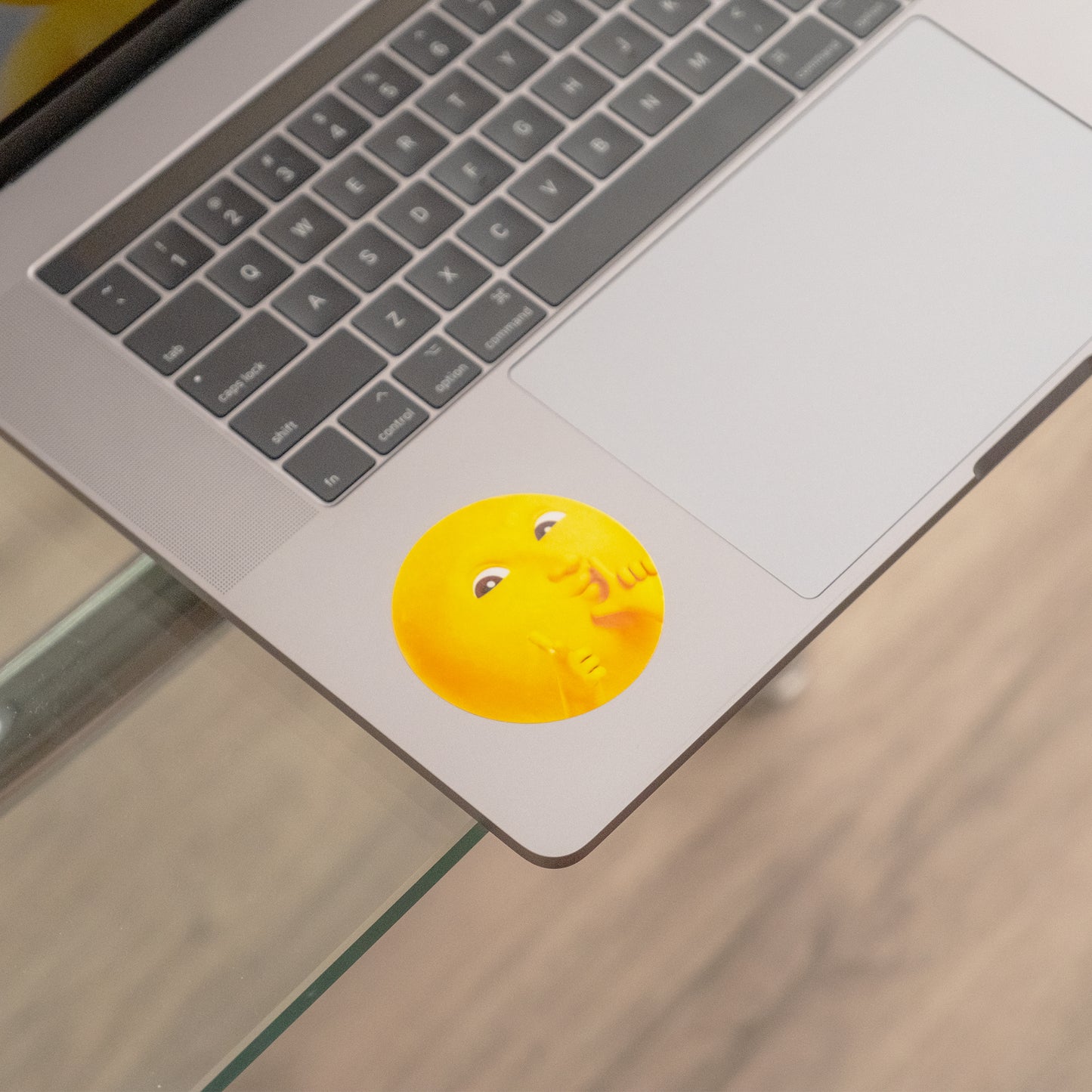 Moon Moon Waterproof Sticker 12pc